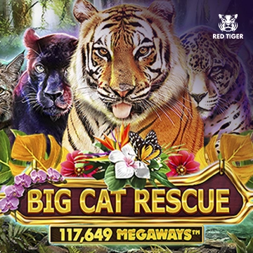 Redtiger : Big Cat Rescue Megaways - NOLIMITSLOT777