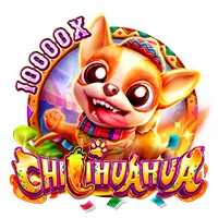 Facai : CHILIHUAHUA - NOLIMITSLOT777