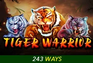 Spadegaming : Tiger Warrior - NOLIMITSLOT777
